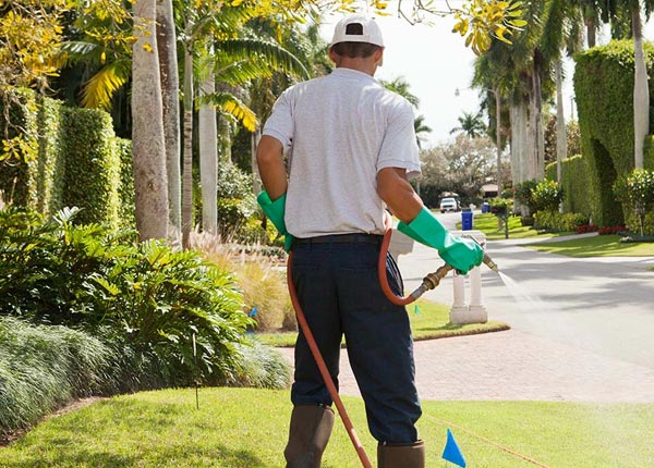 About Parkesburg PA Pest Control Pros